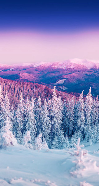 Snowy mountains pink sky trees - dahlov ipcar free wallpaper