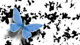 Blue butterfly water drops black - drop of water free wallpaper