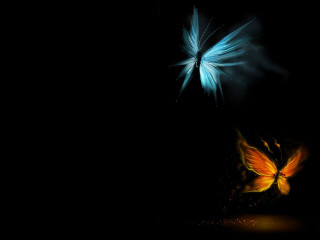 Butterfly flying dark light shining - the dark free wallpaper