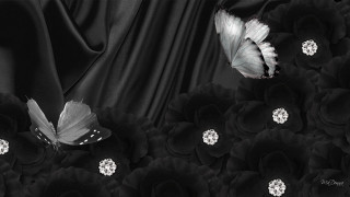 Black white butterfly flowers gothic - dirk crabeth free wallpaper