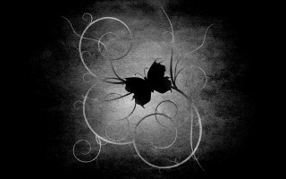 Butterfly black white background swirls - a charcoal drawing free wallpaper