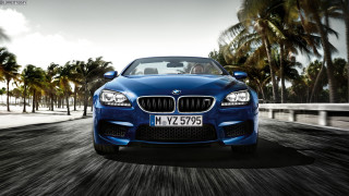 Blue car palm trees bridge - a road next free wallpaper