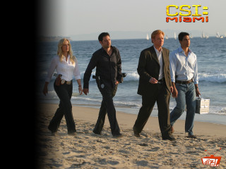 Beach group people ocean csil - a beach near the ocean free wallpaper
