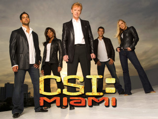 Group people osi miami sign - a poster free wallpaper