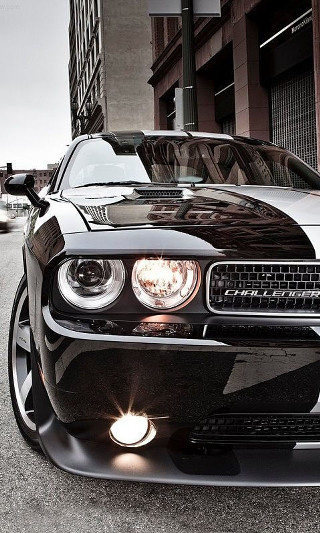 Black car parked road tall - cafer bater free wallpaper