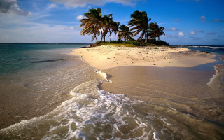 Beach small island palm trees 2 - free bikini wallpaper