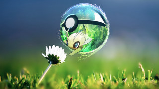 Pokemon ball face nose grass - macro art free wallpaper