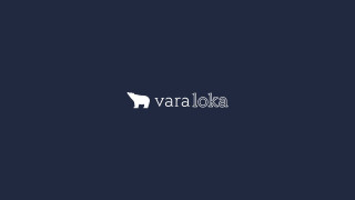 White dog dark blue background - logo free wallpaper