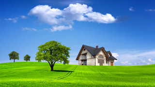 House hill tree field blue - a tree in the foreground free wallpaper