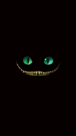 Green eyes black background cat - a light free wallpaper