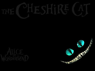 Black cat face green light - a cats face free wallpaper
