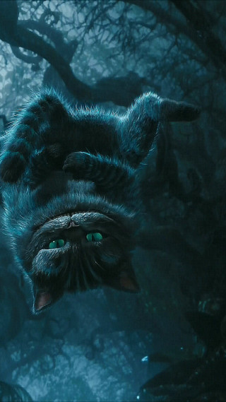 Cat green eyes flying forest - weta digital free wallpaper