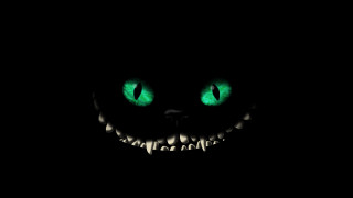 Glowing green cats eyes dark - face free wallpaper for desktop