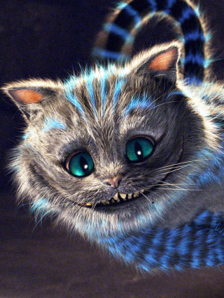 Cat blue eyes weird face - weta digital free wallpaper