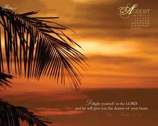 Palm sunset august summer dusk - a sunset in the background and a quote free wallpaper