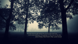 Foggy forest bible verse black - stormy weather free wallpaper