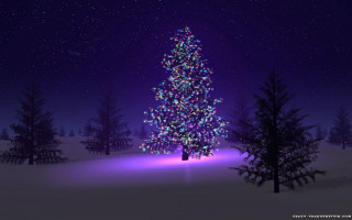 Christmas tree snow night purple 4 - the snow free wallpaper for desktop