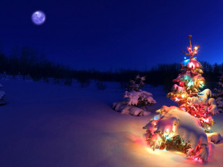 Christmas tree lit snow full - folk art free wallpaper