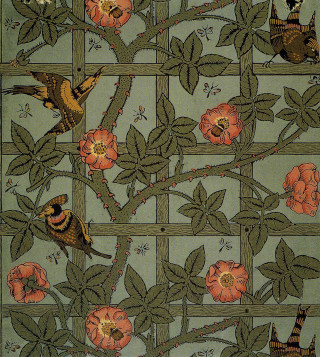 Birds branch flowers butterfly bamboo - a tree branch free wallpaper