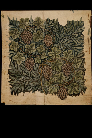 Grapes painting leaves berries paper - a piece of paper free wallpaper