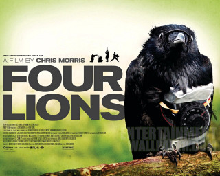 Bird branch helmet movie poster - movie poster free wallpaper