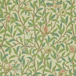 Birds leaves tree fruit wallpaper - bird free wallpaper