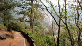 Path wooden railing mountain trees - a path free wallpaper