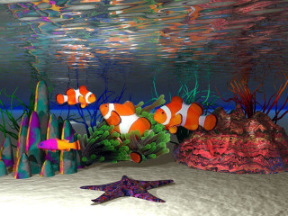 Fish starfish colorful aquarium corals - bernard meninsky free wallpaper
