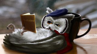 Owl reading book cup mouse - inside free wallpaper