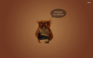 Owl morning serious thought bubble - else alfelt free wallpaper