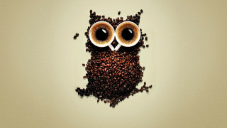 Coffee owl coffee beans shadow - chris labrooy free wallpaper