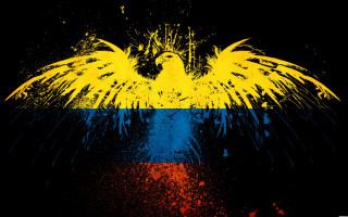 Yellow blue bird black wings - black wing free wallpaper
