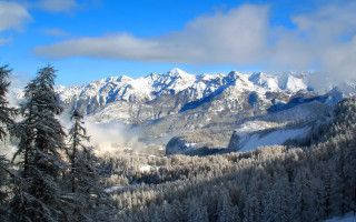 Snowy mountain range trees blue - edi rama free wallpaper