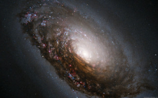 Spiral object sky stars black - a white dot free wallpaper