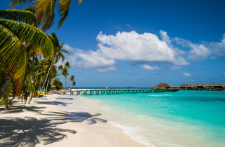 Beach pier palm trees sky - a few person free wallpaper