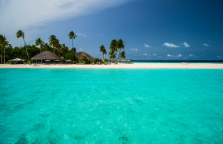 Beach hut palm trees ocean - the shore of the ocean free wallpaper