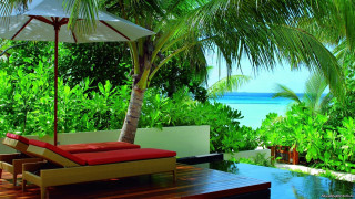 Pool lounge umbrella tropical trees - tropical free wallpaper