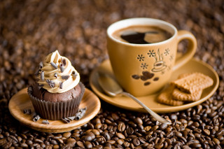 Coffee cup cookies table spoon - clara peeters free wallpaper
