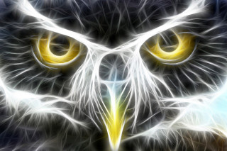 Owl yellow eyes analytical airbrush - a yellow center free wallpaper