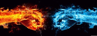 Fire ice contrast black background - a bear free wallpaper