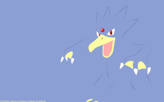 Cartoon bird big eyes flying - a cartoon bird free wallpaper