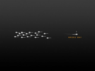 Black background white dots pattern - a white dot free wallpaper