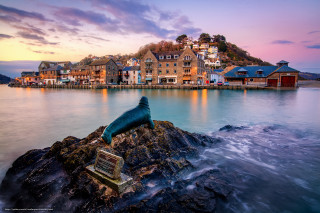 Dolphin statue rock water town - a hill in the background free wallpaper