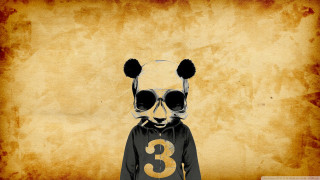 Panda sunglasses shirt three hat - a panda bear free wallpaper