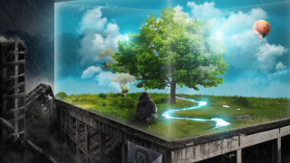 Tree river box sky hot - a hot air balloon free wallpaper
