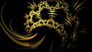 Lion head black background yellow - a computer free wallpaper