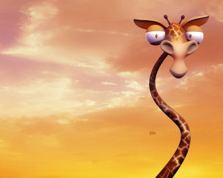 Giraffe long neck face sunset - head free wallpaper