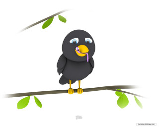 Black bird toothbrush branch leaf - a black bird free wallpaper