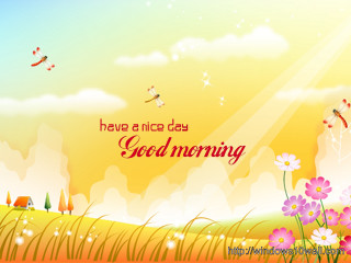 Sunny day flowers birds have - nice free wallpaper