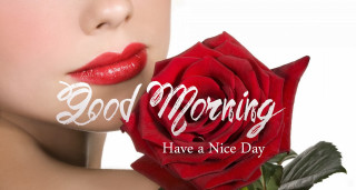 Woman red rose good morning - morning free wallpaper